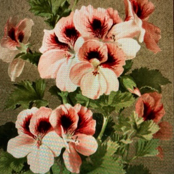 Sarah Coventry Five Strand Contessa 3 in 1 Faux Pearl Necklace - Picture 10 of 12